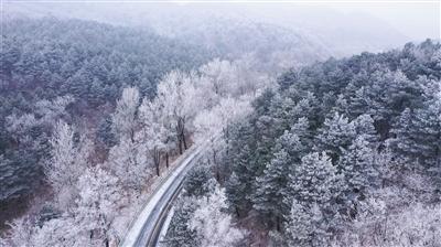 我要当记者！《齐鲁少年说》2024特约小记者选拔大赛今日开幕